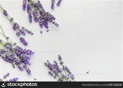 Fresh lavender flowers on a white tile background. Copy space. 
