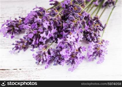 Fresh lavender on the white shabby wooden table. Fresh lavender