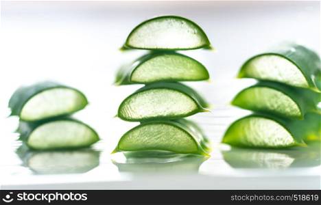 Fresh leaves of Aloe Vera on the white background: cross section