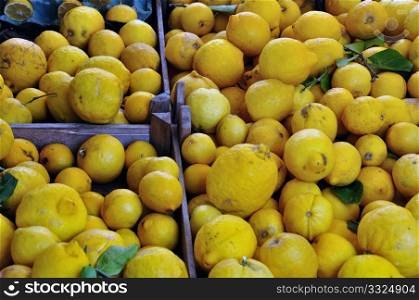 Fresh lemons in wooden crates at grocery store.
