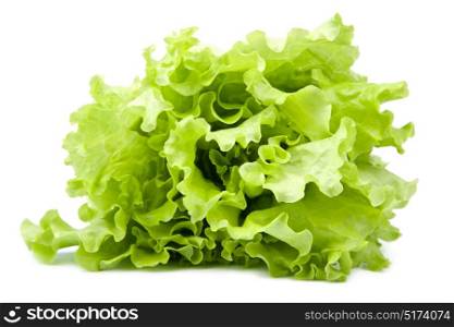 fresh lettuce isolated