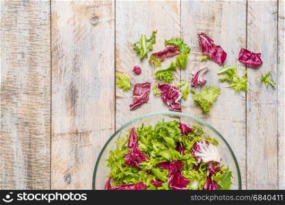 Fresh lettuce leafs mix salad in glass bowl on wooden table.