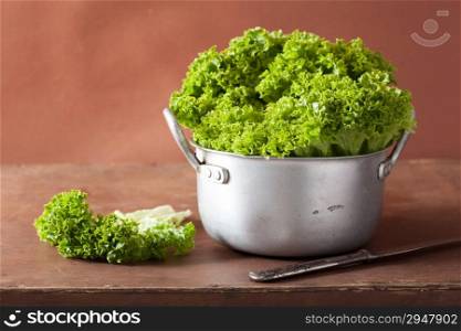 fresh lettuce leaves in casserole