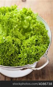 fresh lettuce leaves in colander