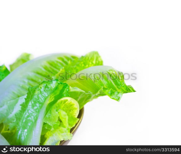 fresh lettuce leaves on a brow3n bowl extreme cose up over white