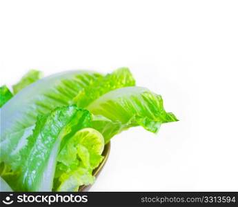 fresh lettuce leaves on a brow3n bowl extreme cose up over white