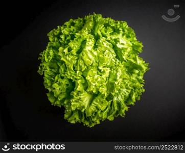 Fresh Lettuce salad isolated on a black background. Lettuce salad isolated on a black background