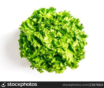 Fresh Lettuce salad isolated on a white background. Lettuce salad isolated on a white background