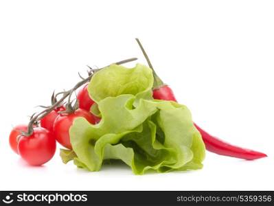 Fresh lettuce salad leaves bunch and cherry tomato isolated on white background cutout