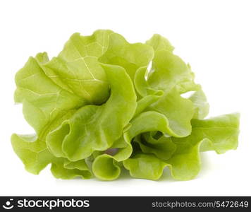 Fresh lettuce salad leaves bunch isolated on white background cutout