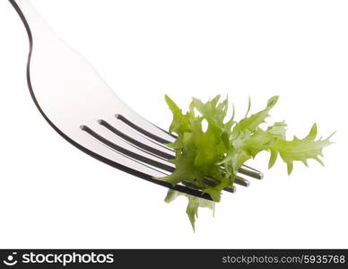 Fresh lettuce salad on fork isolated on white background cutout. Healthy eating concept.