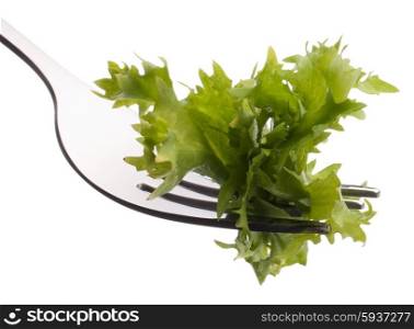 Fresh lettuce salad on fork isolated on white background cutout. Healthy eating concept.
