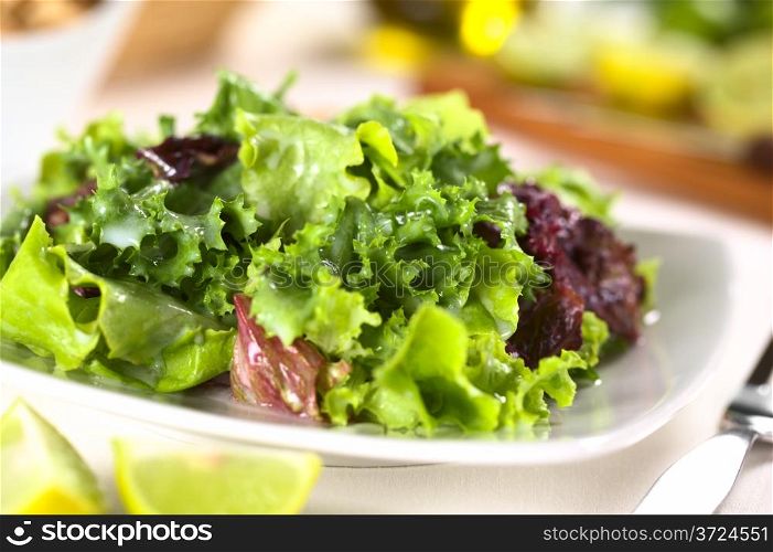Fresh lettuce with a yogurt and lime juice dressing (Selective Focus, Focus one third into the salad). Fresh Lettuce with Yogurt Dressing