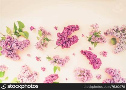 Fresh lilac flowers boder over pink background flat lay floral composition, toned. Fresh lilac flowers