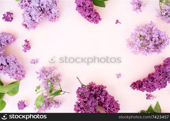 Fresh lilac flowers frame over pink background with copy space, flat lay floral composition. Fresh lilac flowers