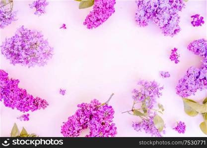 Fresh lilac flowers frame over pink background with copy space, flat lay floral composition, toned. Fresh lilac flowers