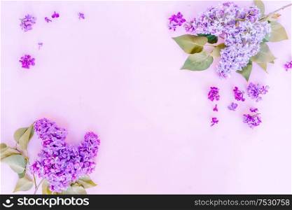 Fresh lilac flowers over pink plain background, frame with copy space, flat lay floral composition, toned. Fresh lilac flowers