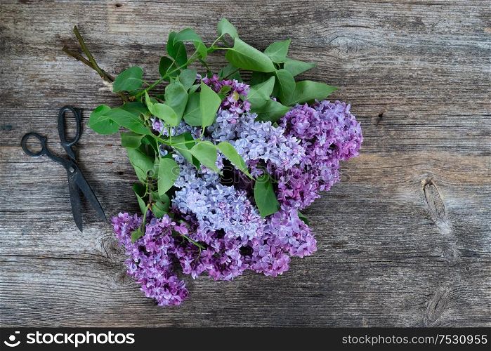 Fresh lilac flowers over wooden background with copy space, flat lay floral composition. Fresh lilac flowers