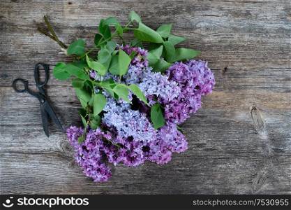 Fresh lilac flowers over wooden background with copy space, flat lay floral composition. Fresh lilac flowers