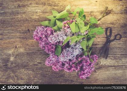 Fresh lilac flowers over wooden background with copy space, flat lay floral composition, toned. Fresh lilac flowers