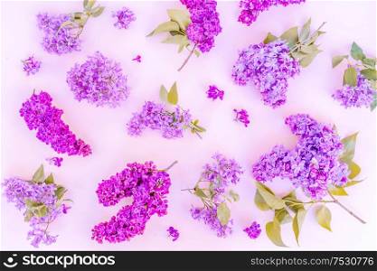 Fresh lilac flowers pattern over pink background flat lay floral composition, toned. Fresh lilac flowers