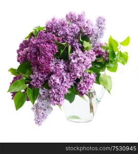 Fresh lilac flowers twigs bouquet isolated over white background. Fresh lilac flowers
