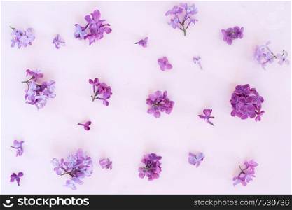 Fresh lilac violet flowers pattern over pink background flat lay floral composition. Fresh lilac flowers
