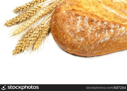 Fresh loaf of bread with wheat grains on a white background in close up.