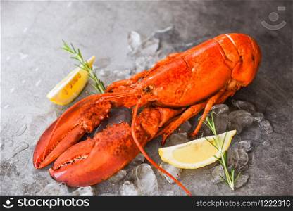 Fresh lobster food on a black plate background / red lobster dinner seafood with herb spices lemon rosemary served table and ice in the restaurant gourmet food healthy boiled lobster cooked , top view