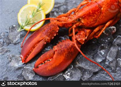 Fresh lobster food on a black plate background / red lobster dinner seafood with herb spices lemon rosemary served table and ice in the restaurant gourmet food healthy boiled lobster cooked