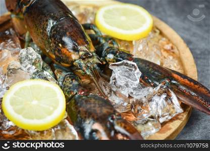 Fresh lobster shellfish in the seafood restaurant for cooked food / Raw lobster on ice and lemon on a black stone table , selective focus