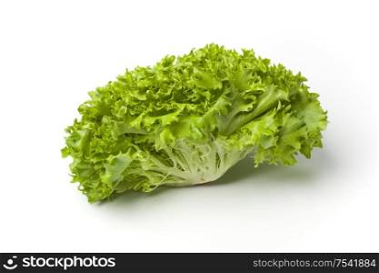 Fresh Lollo bionde lettuce isolated on white background