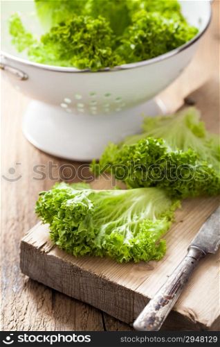 fresh lollo salad leaves on chopping board for salad