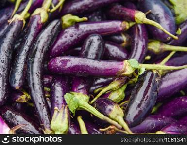 Fresh long eggplant purple fruit for sale in the vegetable market