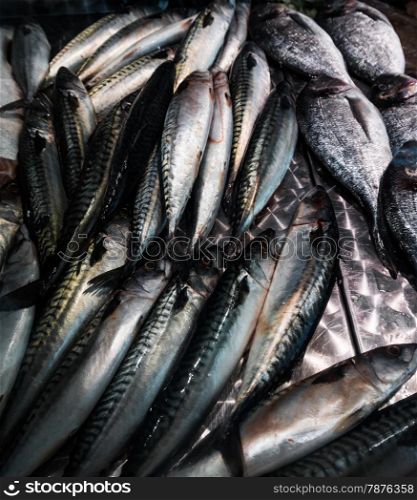 Fresh mackerel fish (Scomber scrombrus). Mackerel for sale at a fish market.