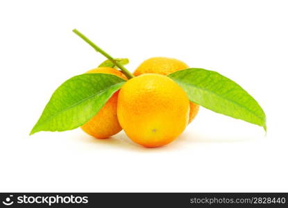 fresh mandarin isolated on white