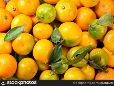 fresh mandarin oranges fruit with leaves as background
