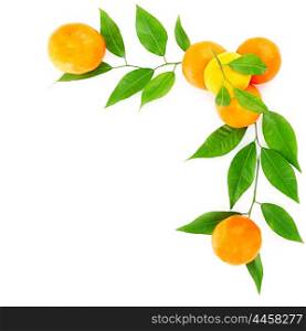 Fresh mandarins border isolated on white background, healthy eating concept
