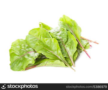 Fresh mangold leaves isolated on white background