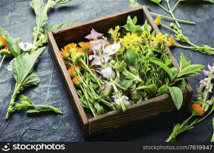 Fresh medicinal,healing herbs.Alternative medicine herbal.Herbal medicine and homeopathy. Healing herbs in box