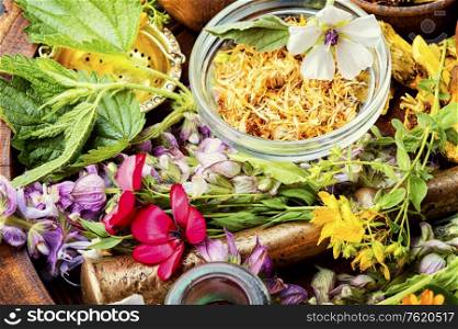 Fresh medicinal,healing herbs.Alternative medicine herbal.Herbal medicine and homeopathy. Medicinal herb and flower