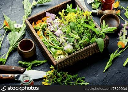 Fresh medicinal,healing herbs.Alternative medicine herbal.Natural herbal medicine. Medicinal herb and flower