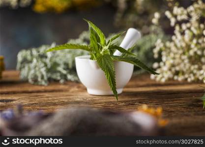 Fresh medicinal, healing herbs on wooden . Natural medicine on wooden table background