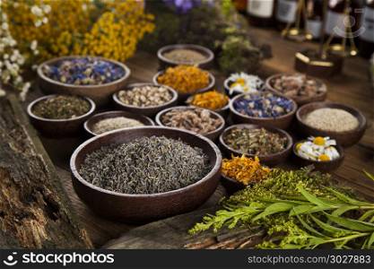 Fresh medicinal, healing herbs on wooden. Natural medicine on wooden table background