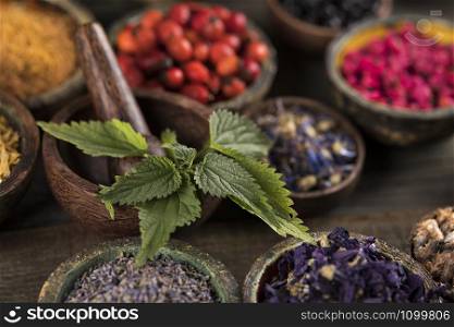 Fresh medicinal herbs on wooden background