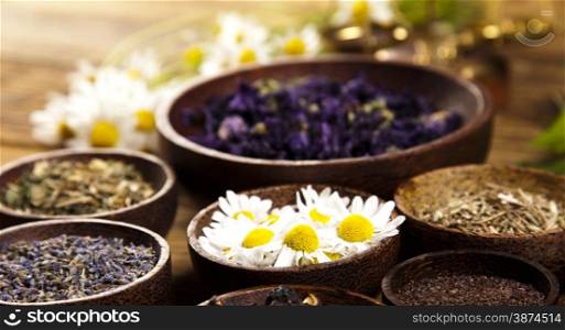 Fresh medicinal herbs on wooden desk