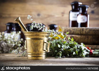 Fresh medicinal herbs on wooden desk