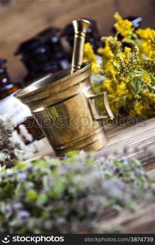 Fresh medicinal herbs on wooden desk