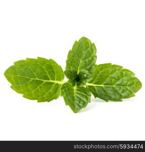 Fresh mint herb leaves isolated on white background cutout