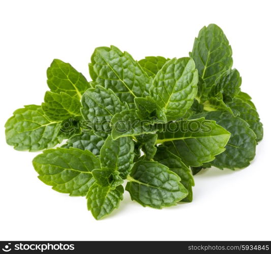 Fresh mint herb leaves isolated on white background cutout